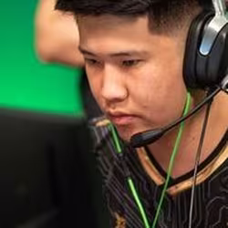 bLitz image